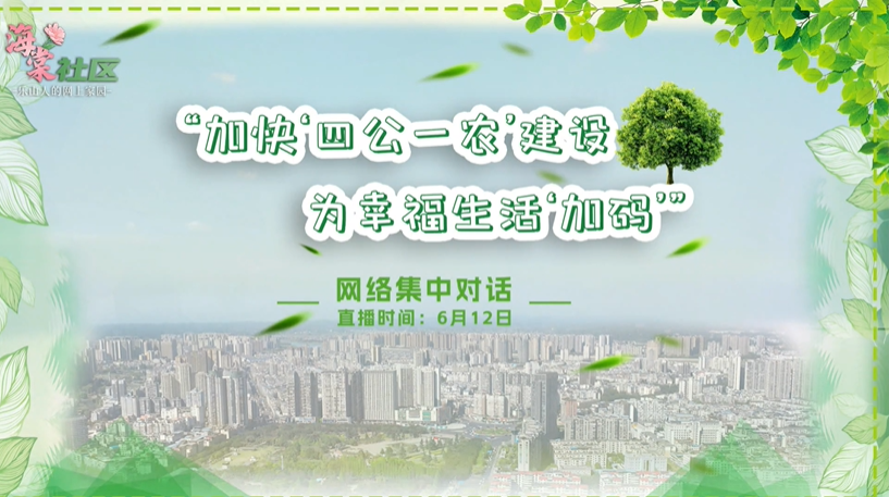 网络集中对话——